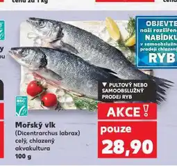 Kaufland Mořský vlk nabídka