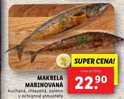 Lidl MAKRELA MARINOVANÁ, cena za 100 g nabídka