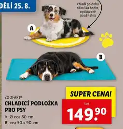 Lidl CHLADICÍ PODLOŽKA PRO PSY nabídka