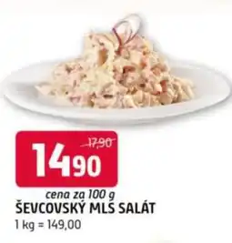 Terno ŠEVCOVSKÝ MLS SALÁT nabídka