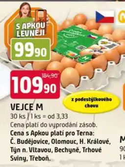 Terno Vejce „M“ nabídka