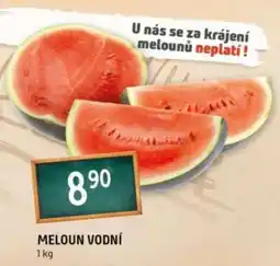 Terno MELOUN VODNÍ nabídka