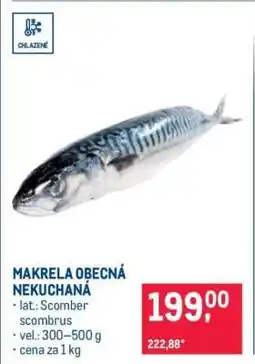 Makro Makrela obecná nekuchaná nabídka