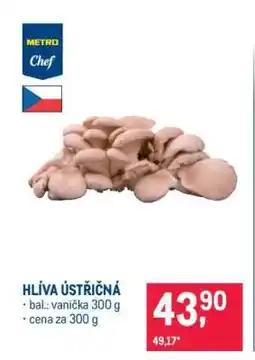 Makro Hlíva ústřičná nabídka