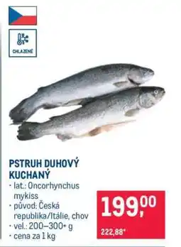 Makro Pstruh duhový kuchaný nabídka