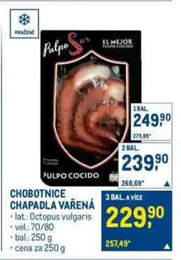 Makro Chobotnice chapadla vařená nabídka