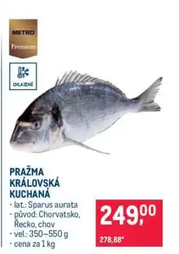 Makro Pražma královská kuchaná nabídka