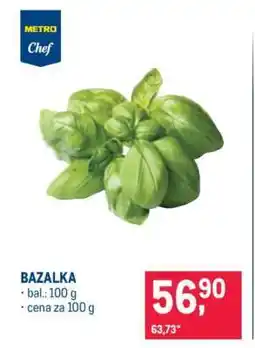 Makro Bazalka nabídka