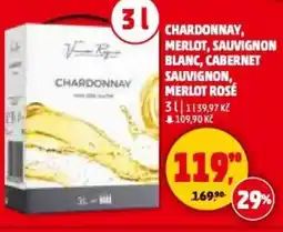 Penny Market Chardonnay, merlot, sauvignon blanc, cabernet sauvignon, merlot rosé nabídka