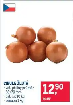 Makro Cibule žlutá nabídka