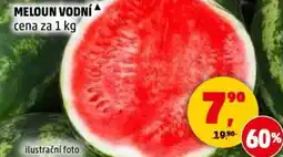 Penny Market Meloun vodní nabídka
