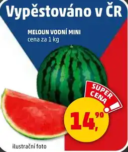 Penny Market Meloun vodní mini nabídka