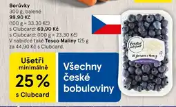 Tesco Borůvky nabídka