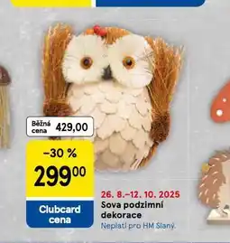 Tesco Sova podzimní dekorace nabídka