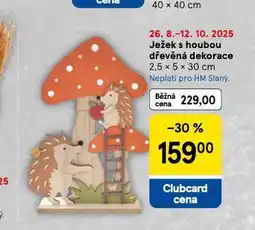 Tesco Ježek s houbou dřevěná dekorace nabídka