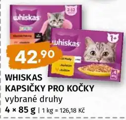 Terno Whiskas kapsičky pro kočky nabídka