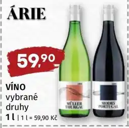 Terno VÍNO vybrané druhy nabídka