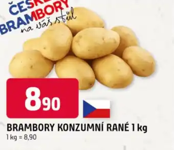 Trefa Brambory konzumní rané nabídka