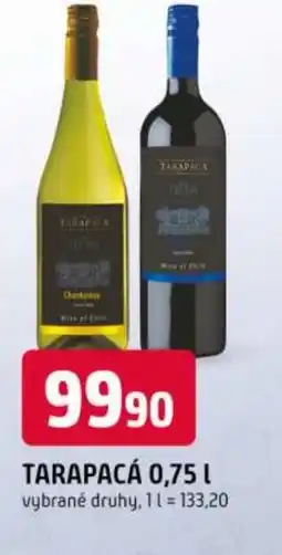 Trefa Tarapacá nabídka
