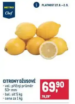 Makro Citrony džusové nabídka