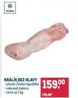 Makro Králík bez hlavy nabídka