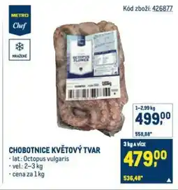 Makro Chobotnice květový tvar nabídka