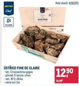Makro Ústřice fine de claire nabídka