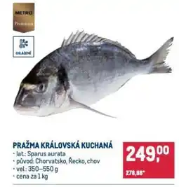Makro Pražma královská kuchaná nabídka