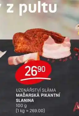 Flop MAĎARSKÁ PIKANTNÍ SLANINA 100 g nabídka