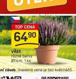 Flop VŘES různé barvy 011cm, 1 ks nabídka