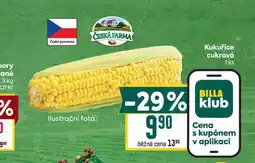 Billa Kukuřice cukrová 1ks nabídka