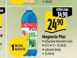 Albert Magnesia plus 0,7 l nabídka