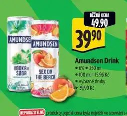 Albert Amundsen Drink 6% 250 ml nabídka