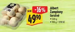 Albert Albert Žampiony čerstvé nabídka