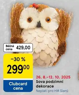 Tesco Sova podzimní dekorace nabídka