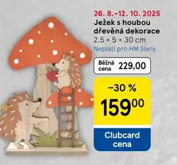 Tesco Ježek s houbou dřevěná dekorace nabídka