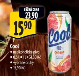 Albert Cool nabídka