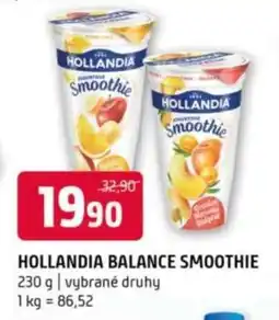 Terno HOLLANDIA BALANCE SMOOTHIE nabídka