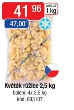 Qanto Květák růžice nabídka