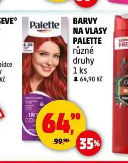 Penny Market Palette barva na vlasy nabídka