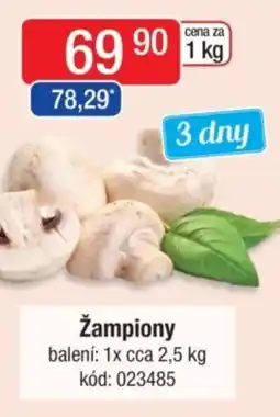 Qanto Žampiony nabídka