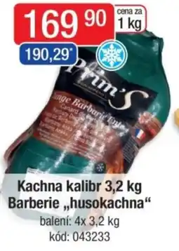 Qanto Kachna kalibr Barberie,,husokachna nabídka