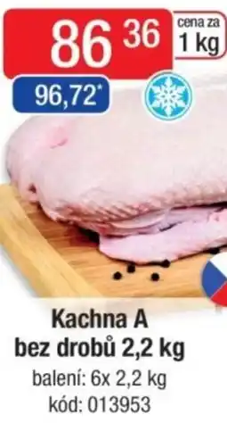 Qanto Kachna A bez drobů nabídka