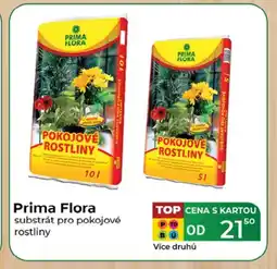 Tamda Foods Prima flora nabídka