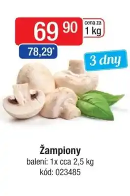 Qanto Žampiony nabídka