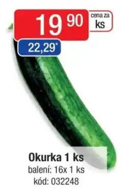 Qanto Okurka nabídka