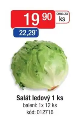 Qanto Salát ledový nabídka