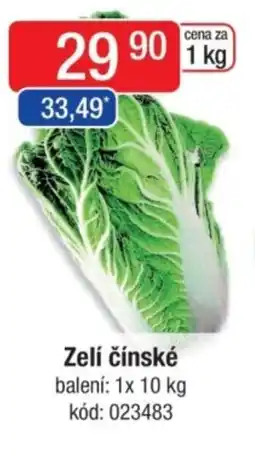 Qanto Zelí čínské nabídka