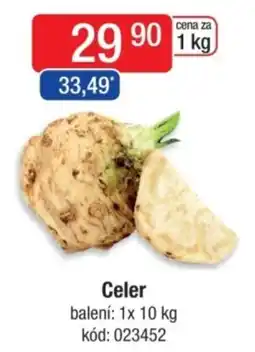 Qanto Celer nabídka