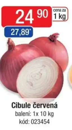 Qanto Cibule červená nabídka